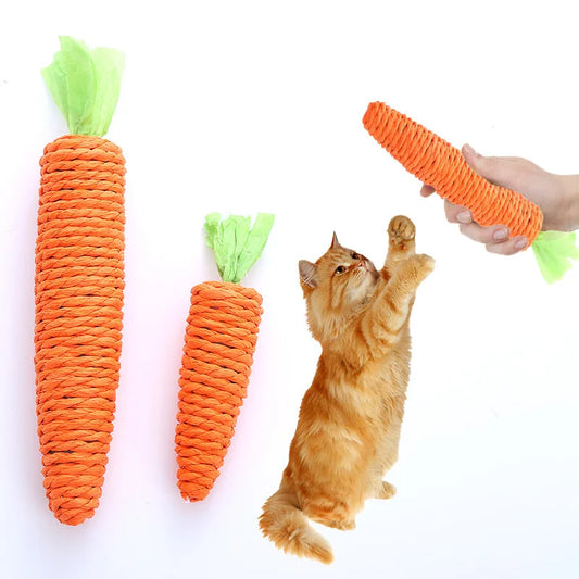 Cat Toys