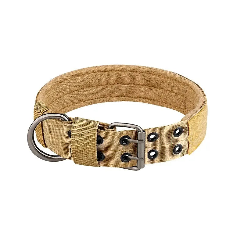 dog collar