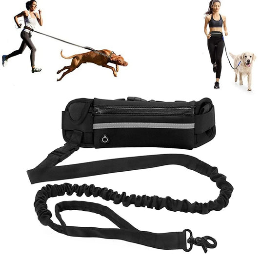 running leash for dogs