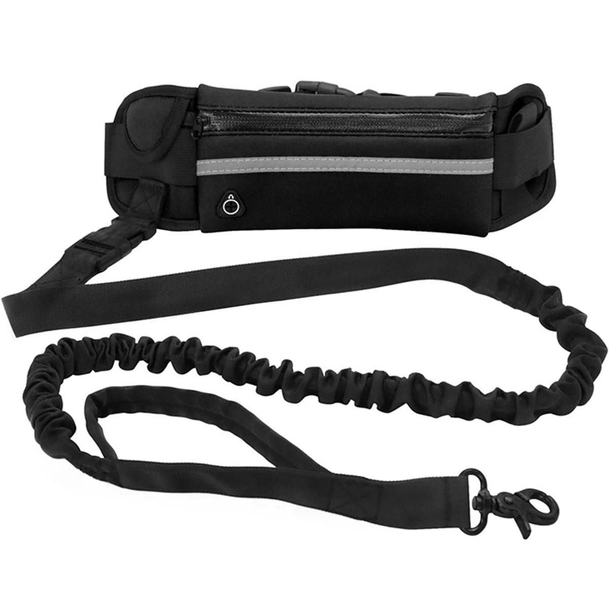 running leash for dogs