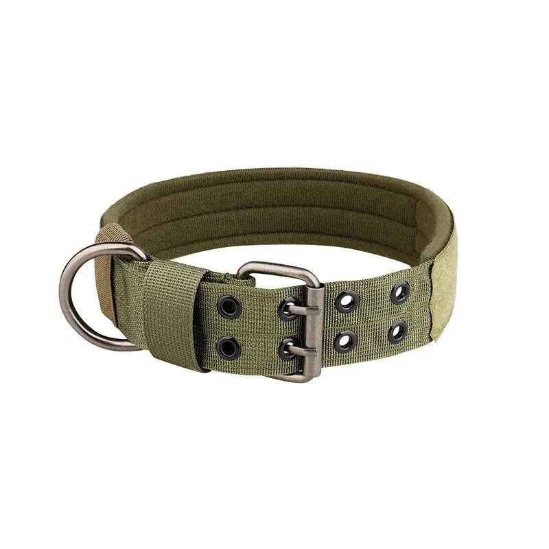 dog collar