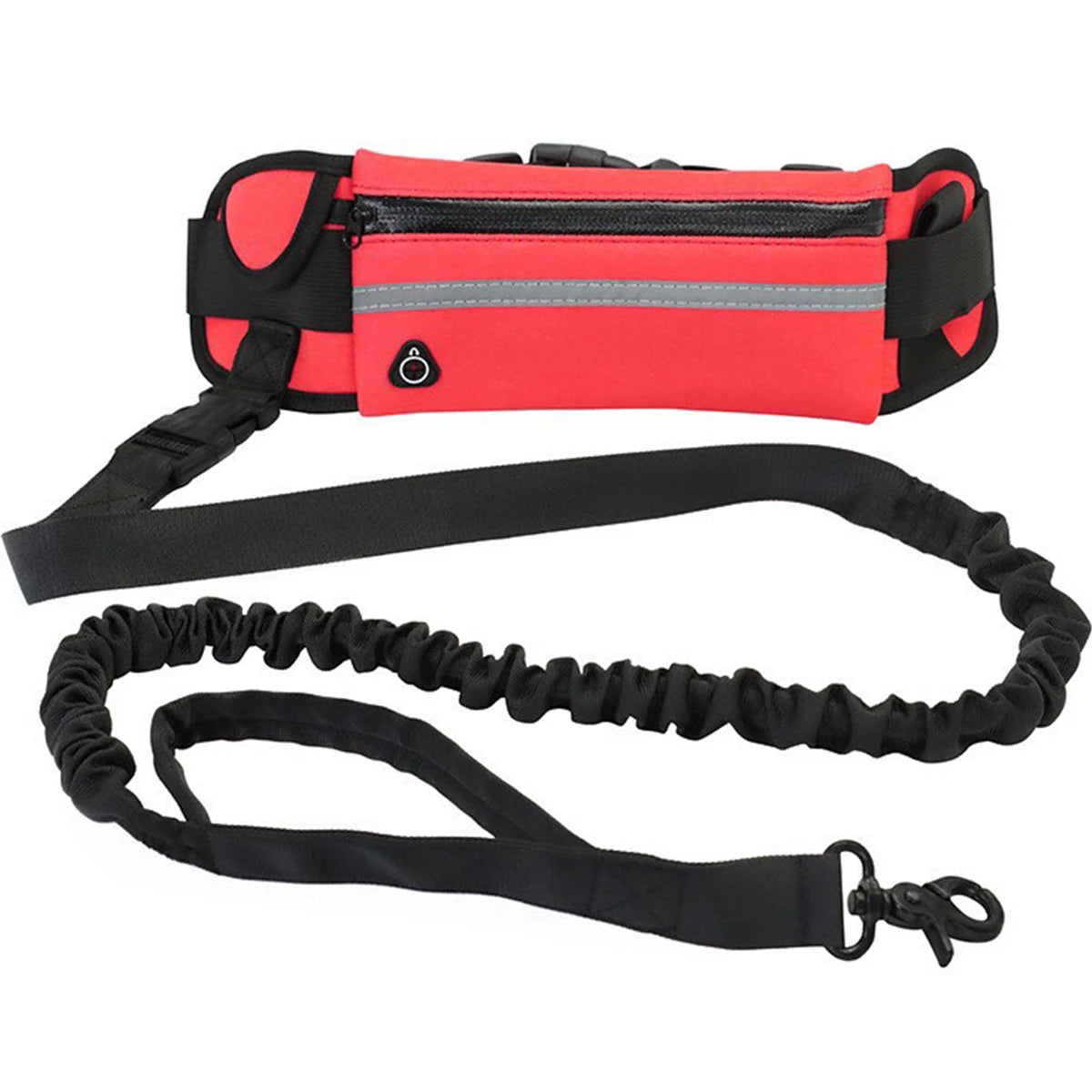 running leash for dogs