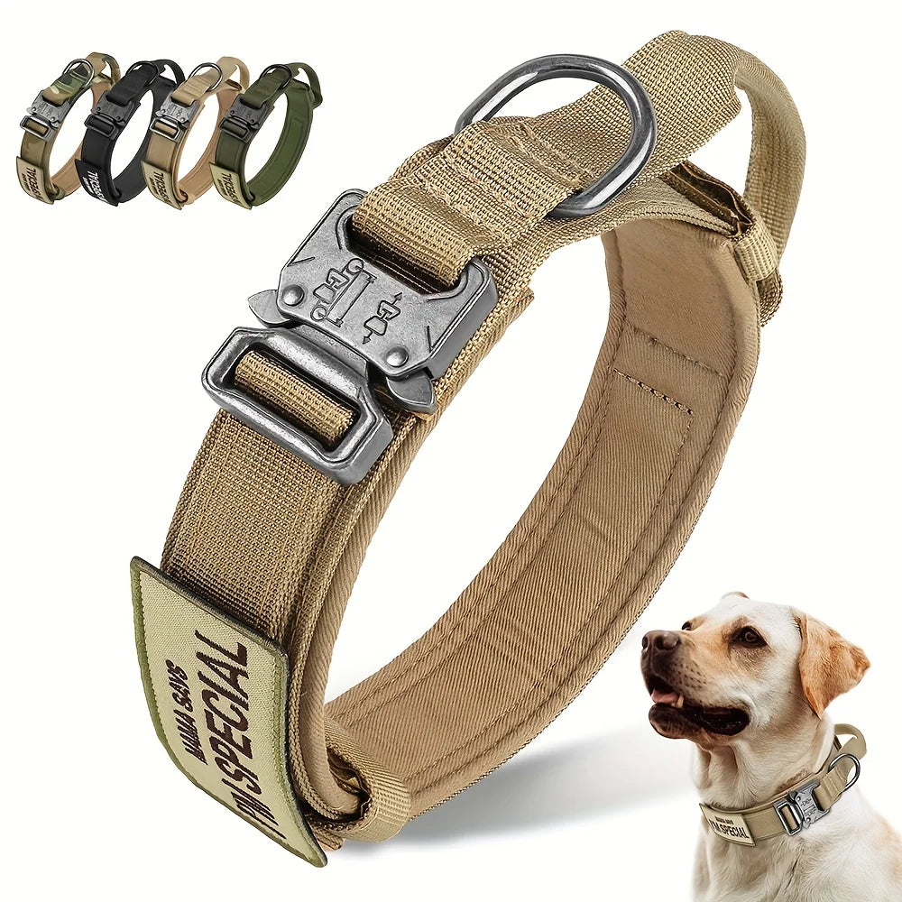 dog collar