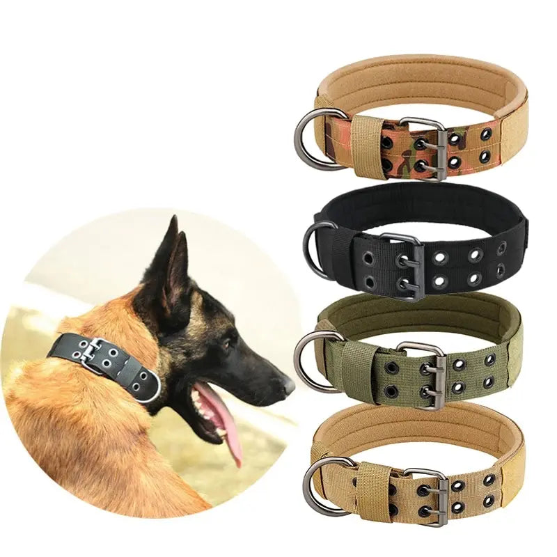 dog collar