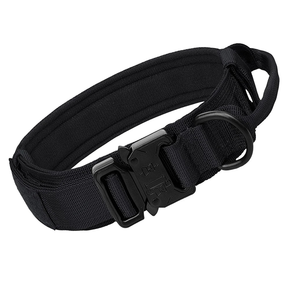 dog collar