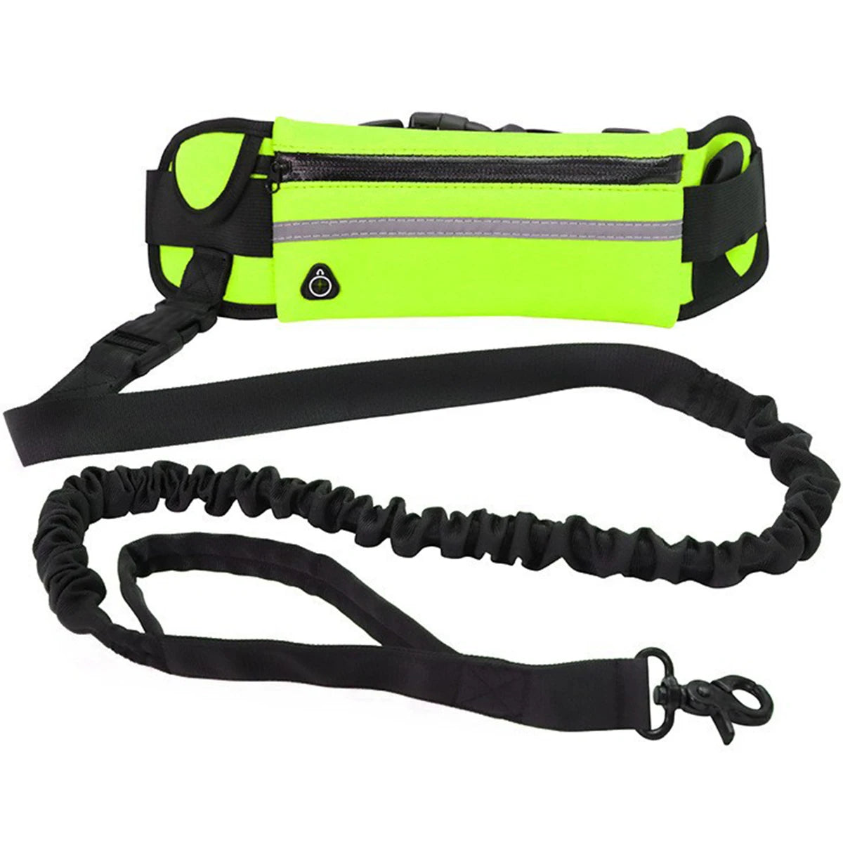 running leash for dogs